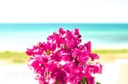 Bouganvillia Homes_s __1