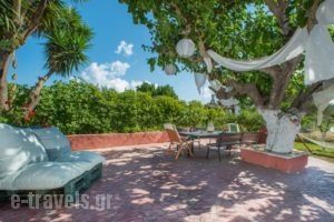 Filoxenia Studios & Apartments_holidays_in_Apartment_Ionian Islands_Zakinthos_Laganas