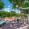 Filoxenia Studios & Apartments_holidays_in_Apartment_Ionian Islands_Zakinthos_Laganas