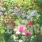 Liogerma Apartments_best deals_Apartment_Ionian Islands_Lefkada_Lefkada Rest Areas