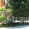 Liogerma Apartments_best prices_in_Apartment_Ionian Islands_Lefkada_Lefkada Rest Areas