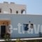 Montemar Studios & Apartments_best deals_Apartment_Dodekanessos Islands_Karpathos_Karpathosora