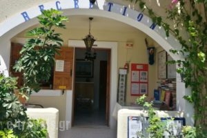 Montemar Studios & Apartments_travel_packages_in_Dodekanessos Islands_Karpathos_Karpathosora