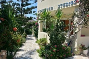 Montemar Studios & Apartments_accommodation_in_Apartment_Dodekanessos Islands_Karpathos_Karpathosora