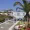 Louis Studios Santorini_best prices_in_Hotel_Cyclades Islands_Sandorini_kamari