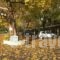 Hani Zemenou_travel_packages_in_Central Greece_Viotia_Arachova