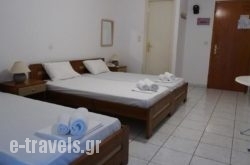 Vergina_s __1