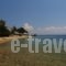 Vergina_holidays_in_Hotel_Central Greece_Evia_Edipsos