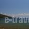 Vergina_best deals_Hotel_Central Greece_Evia_Edipsos