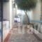 Akti Studios_lowest prices_in_Hotel_Dodekanessos Islands_Karpathos_Karpathos Chora
