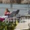 Trokadero Hotel_best prices_in_Hotel_Central Greece_Fokida_Galaxidi