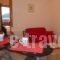 Studio Anesis_lowest prices_in_Hotel_Piraeus Islands - Trizonia_Aigina_Agia Marina