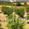 Seaside Villa_lowest prices_in_Villa_Dodekanessos Islands_Rhodes_Rhodes Rest Areas