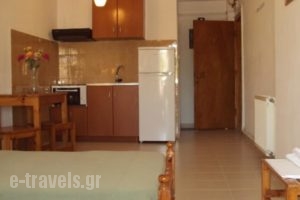 Papadatos Studios_best prices_in_Hotel_Ionian Islands_Kefalonia_Argostoli