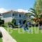 Diomare Villas_holidays_in_Villa_Ionian Islands_Zakinthos_Zakinthos Rest Areas