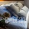 My Joy - Luxury Motor Yacht_travel_packages_in_Central Greece_Attica_Alimos (Kalamaki)