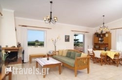 Skoutelonas Villa_s __1