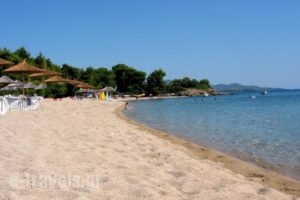 Lily-Ann Village_lowest prices_in_Hotel_Macedonia_Halkidiki_Kassandreia