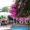 Mary Hotel_best deals_Hotel_Aegean Islands_Samos_Marathokambos