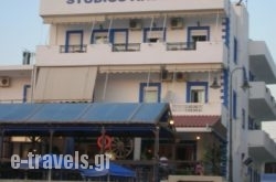 Studio Anessis_s __1
