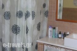 Traditional Apartment_s __3