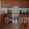 Studio Spartochori_lowest prices_in_Hotel_Ionian Islands_Ithaki_Ithaki Chora