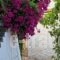 Studio Spartochori_travel_packages_in_Ionian Islands_Ithaki_Ithaki Chora