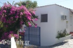 Paradis Studios_s __1
