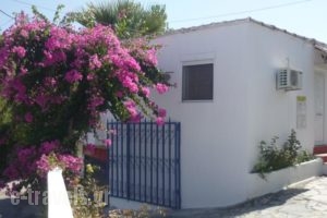 Paradis Studios_accommodation_in_Hotel_Dodekanessos Islands_Rhodes_Archagelos