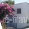 Paradis Studios_accommodation_in_Hotel_Dodekanessos Islands_Rhodes_Archagelos