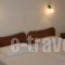 Hotel Anemos_best deals_Hotel_Macedonia_Thessaloniki_Thessaloniki City