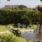 Eleni Apartments_best deals_Apartment_Dodekanessos Islands_Rhodes_Lindos
