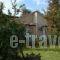 Light House_accommodation_in_Hotel_Ionian Islands_Kefalonia_Kefalonia'st Areas