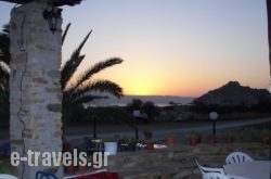 Hippocampus Club Naxos_s __1