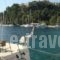 Meganisi Blue Villa & Studios_lowest prices_in_Villa_Ionian Islands_Lefkada_Lefkada Rest Areas