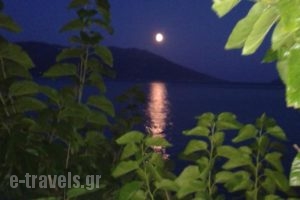 Chrisopetro_best deals_Hotel_Aegean Islands_Samos_Marathokambos