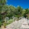 Ktima Kourou_best deals_Hotel_Ionian Islands_Zakinthos_Laganas
