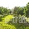 Spasmeni Vrisi_accommodation_in_Hotel_Ionian Islands_Lefkada_Lefkada's t Areas