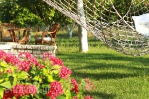 Spasmeni Vrisi_holidays_in_Hotel_Ionian Islands_Lefkada_Lefkada's t Areas