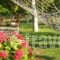 Spasmeni Vrisi_holidays_in_Hotel_Ionian Islands_Lefkada_Lefkada's t Areas