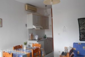 Skafidakia_best prices_in_Hotel_Thessaly_Magnesia_Pilio Area