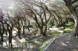 Camping Paleokastritsa_s __1