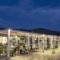 Dionysos Seaside Resort_best deals_Hotel_Cyclades Islands_Ios_Ios Chora