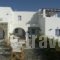 Villa Irine_travel_packages_in_Cyclades Islands_Paros_Piso Livadi