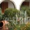Pantheon Studios & Apartments_lowest prices_in_Apartment_Aegean Islands_Thasos_Thasos Chora
