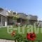 Ammouda Villas_lowest prices_in_Villa_Macedonia_Halkidiki_Chalkidiki Area