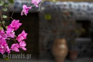 Thermes Saint Alexander Villas_lowest prices_in_Villa_Cyclades Islands_Sandorini_Fira