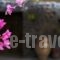 Thermes Saint Alexander Villas_lowest prices_in_Villa_Cyclades Islands_Sandorini_Fira