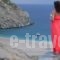 Aegea Blue Cycladic Resort_lowest prices_in_Hotel_Cyclades Islands_Andros_Batsi