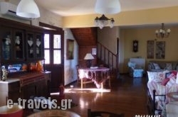 Alegria Villas Complex_s __3
